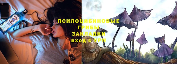 сатива Абаза