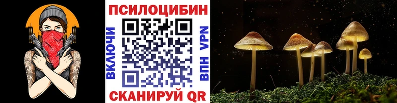 Псилоцибиновые грибы Magic Shrooms  Гусиноозёрск 